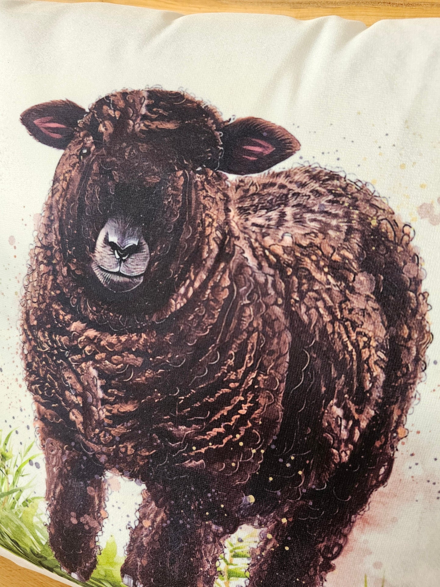 Coloured Ryeland Sheep Cushion, Sheep Home Decor Pillow, Gift For Ryeland Sheep Owners