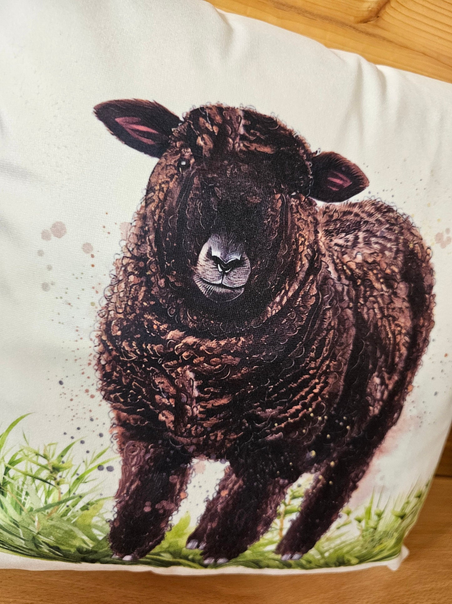 Coloured Ryeland Sheep Cushion, Sheep Home Decor Pillow, Gift For Ryeland Sheep Owners